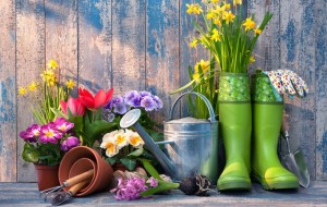 gardening-tools-tips.jpg